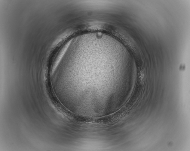 X0000096130732200802011147