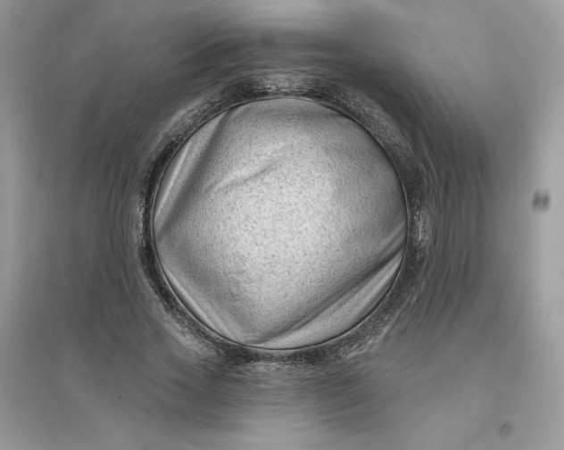 X0000096130733200802011147