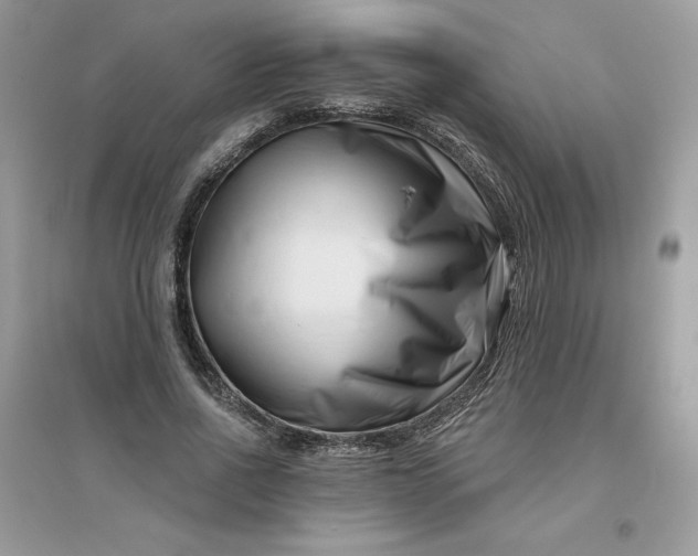 X0000096130734200802011147