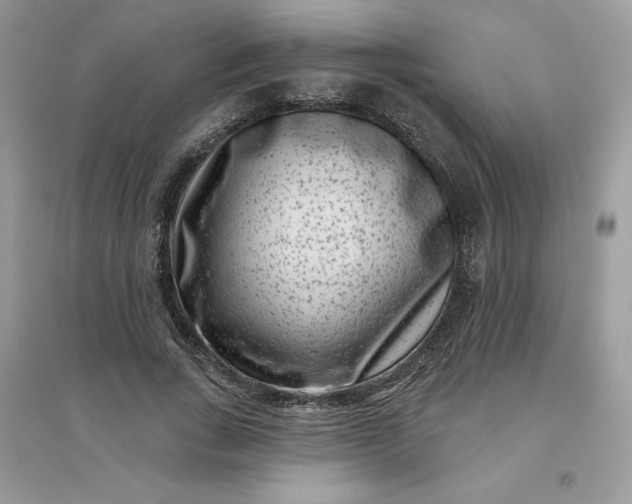 X0000096130735200802011147
