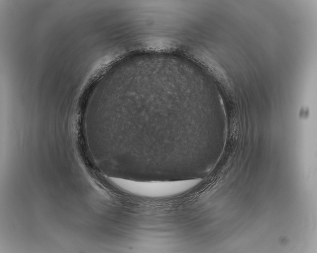 X0000096130736200802011148