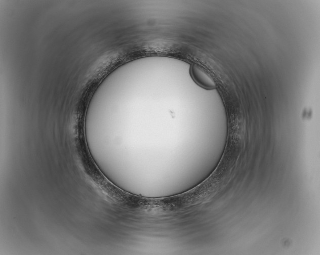 X0000096130738200802011148