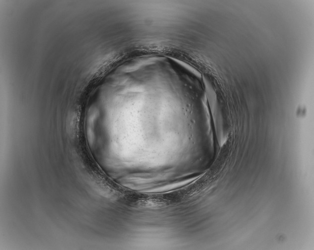 X0000096130739200802011148