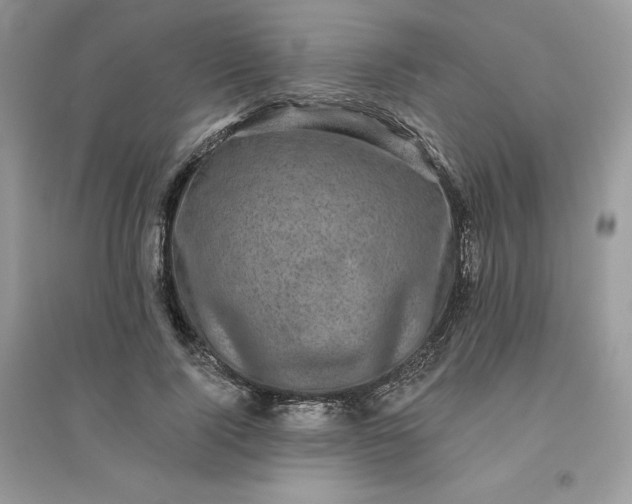 X0000096130740200802011148