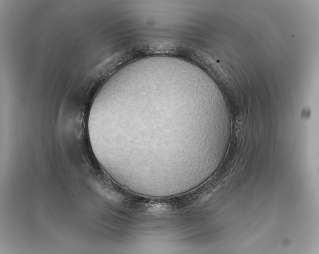 X0000096130741200802011148