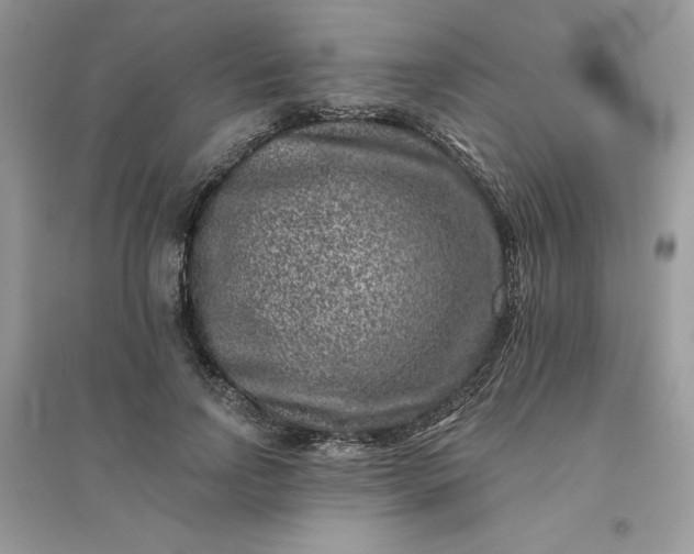 X0000096130742200802011148