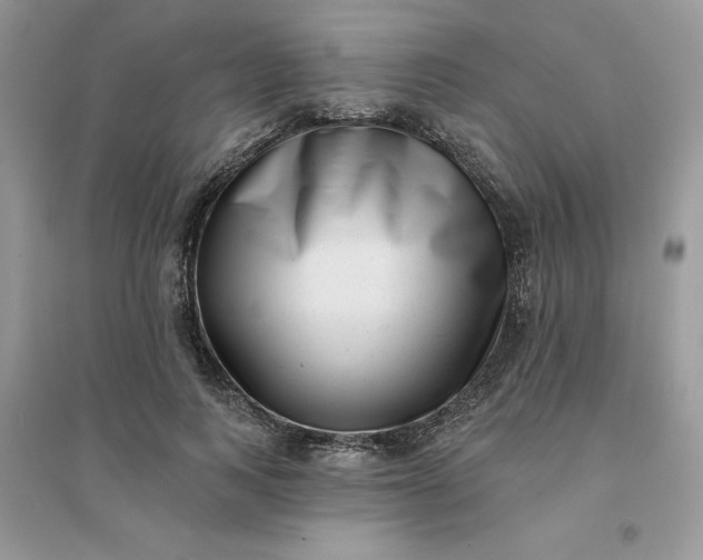 X0000096130743200802011148