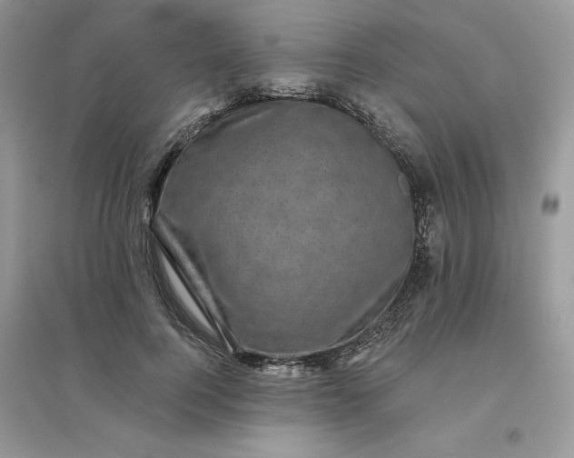 X0000096130744200802011148