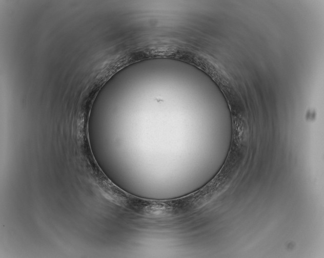X0000096130745200802011148