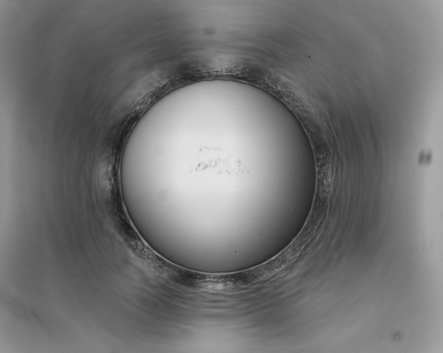 X0000096130746200802011148
