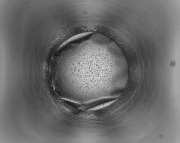 X0000096130747200802011148