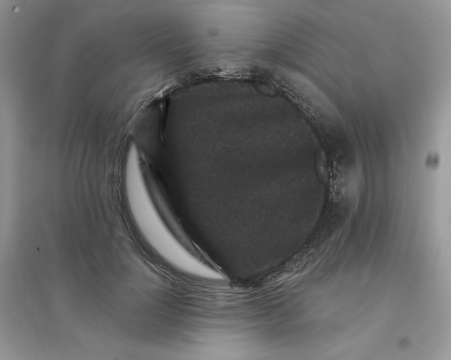 X0000096130748200802011148