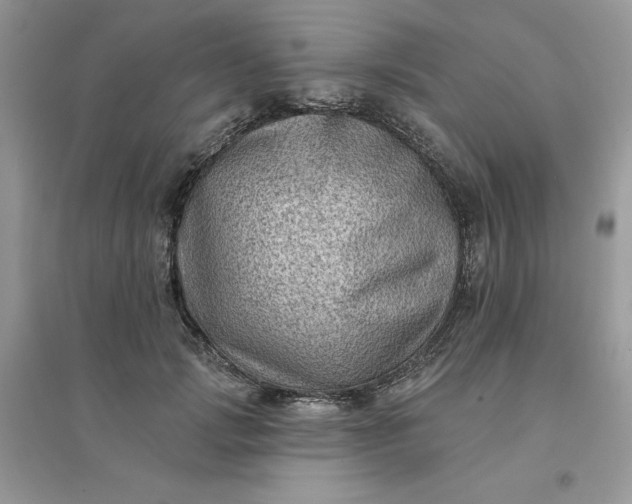 X0000096130749200802011148