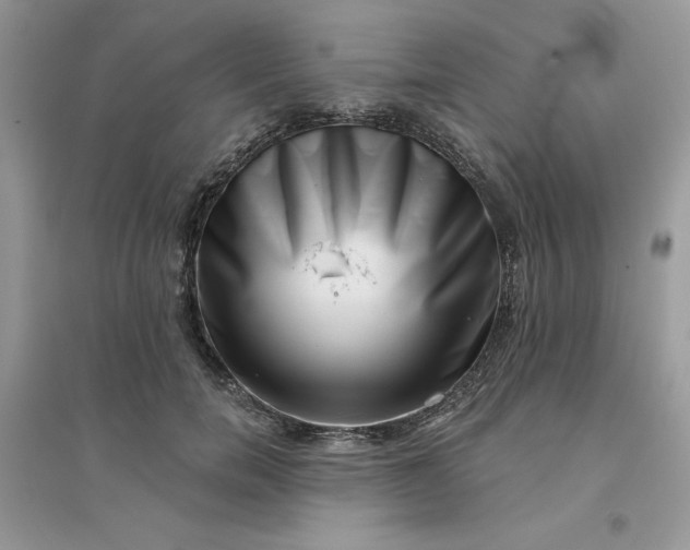 X0000096130750200802011148