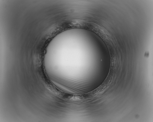 X0000096130751200802011148