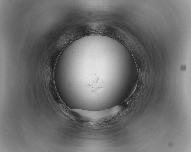 X0000096130752200802011148