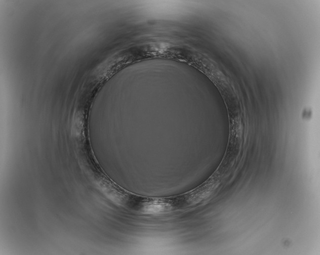 X0000096130754200802011148