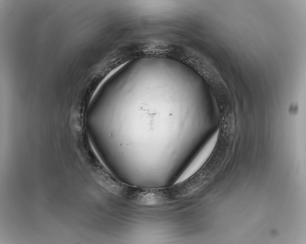 X0000096130755200802011148