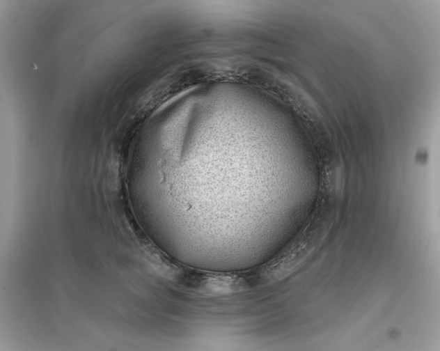 X0000096130757200802011148
