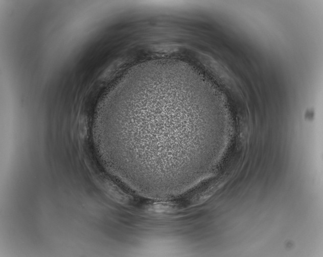 X0000096130758200802011148