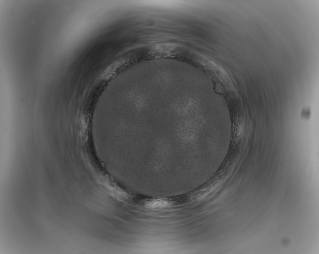 X0000096130759200802011148