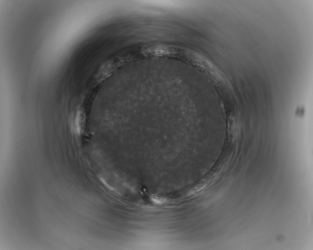 X0000096130760200802011148