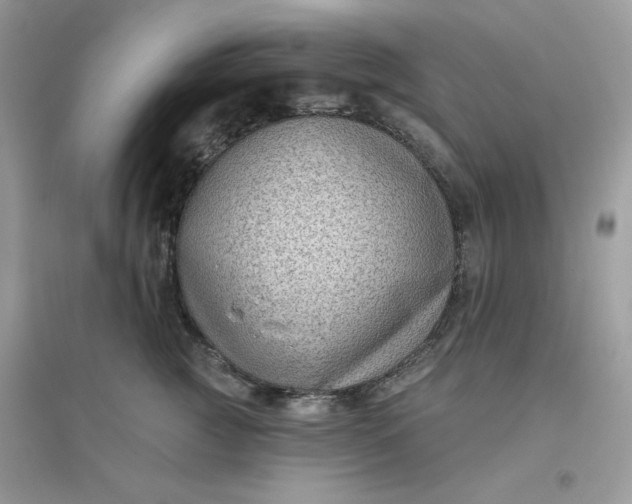 X0000096130761200802011148