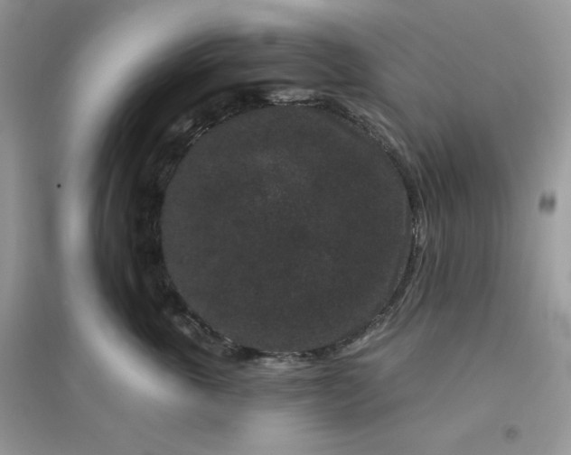 X0000096130763200802011148