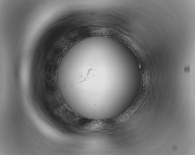 X0000096130764200802011148