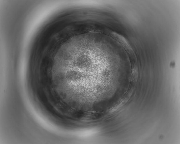 X0000096130765200802011148