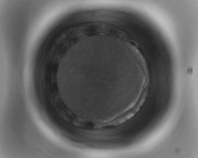 X0000096130766200802011148