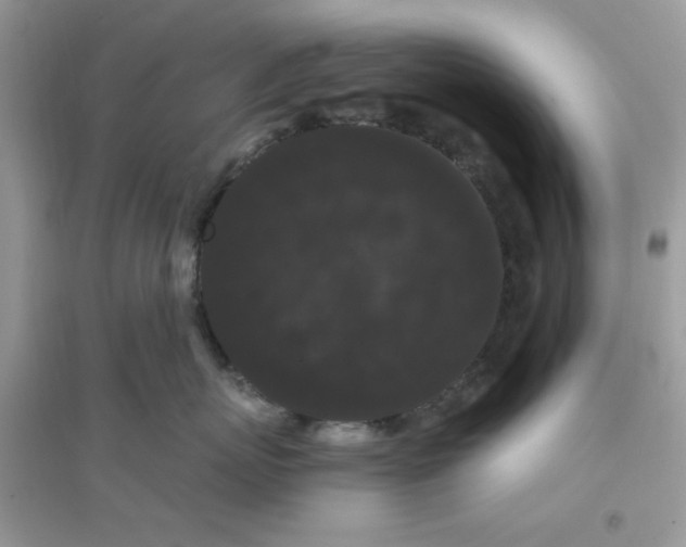 X0000096130767200802011148