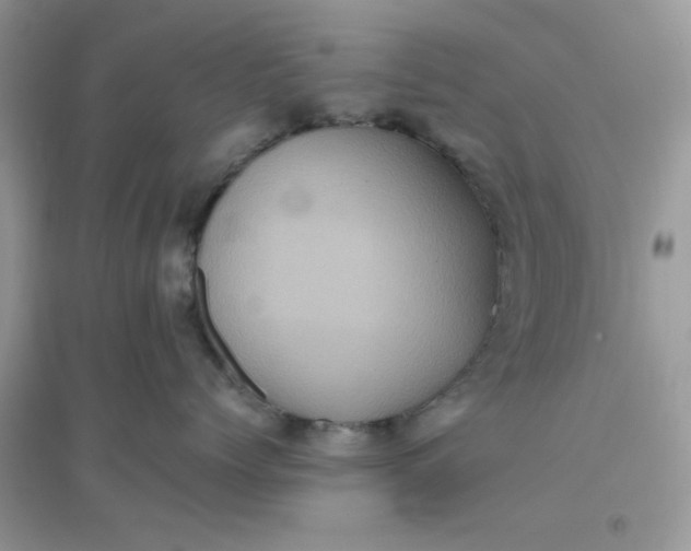 X0000096130768200802011148