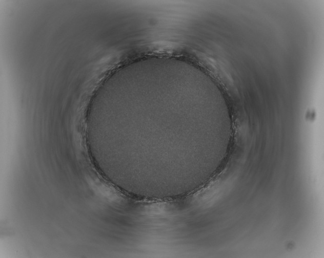X0000096130769200802011147