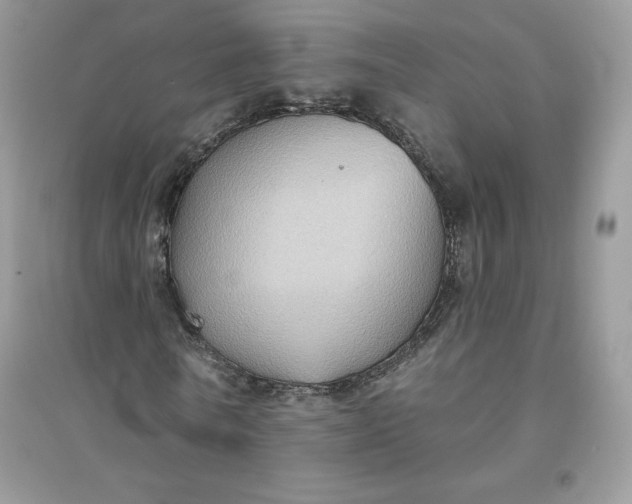 X0000096130770200802011147