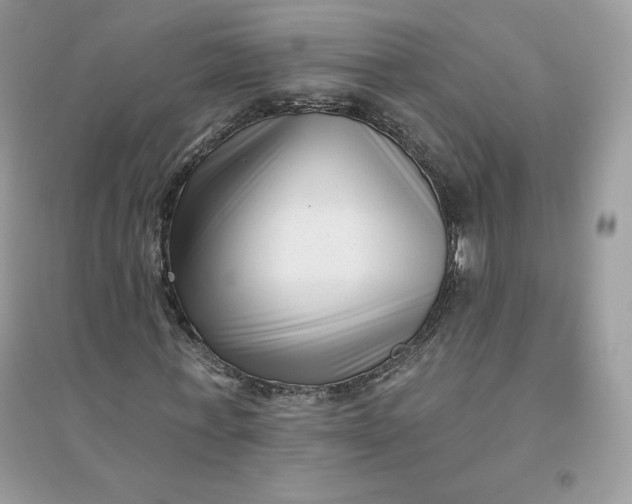 X0000096130771200802011147