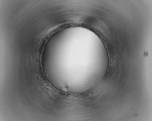 X0000096130773200802011147