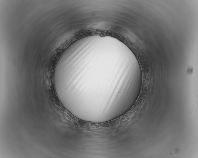 X0000096130774200802011147