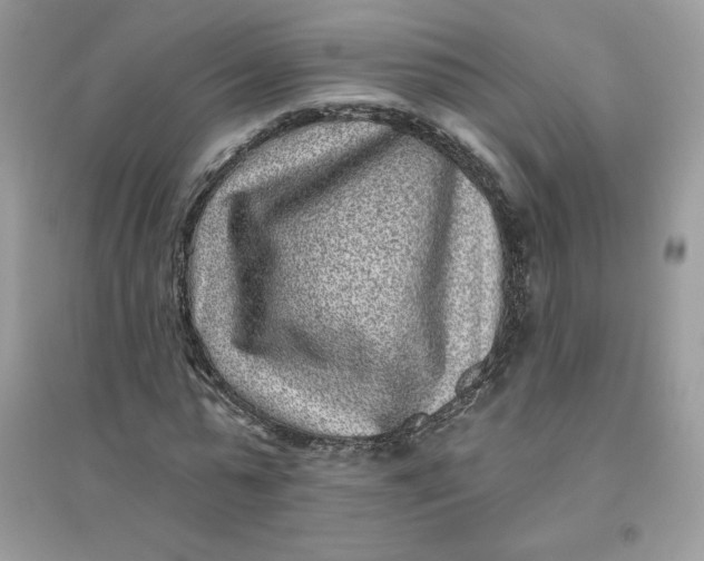 X0000096130775200802011147