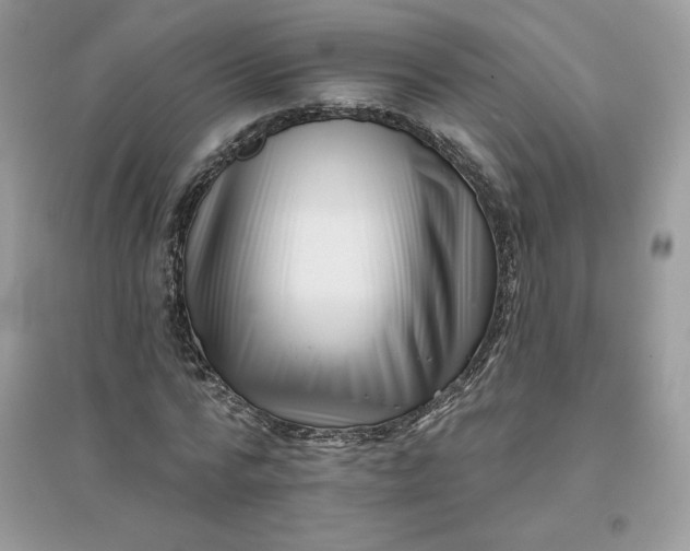 X0000096130776200802011147