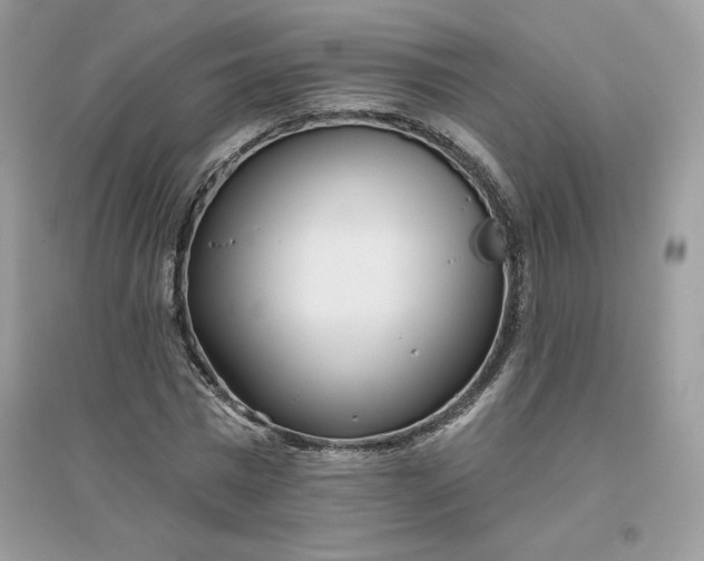 X0000096130777200802011147