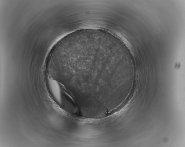 X0000096130779200802011147