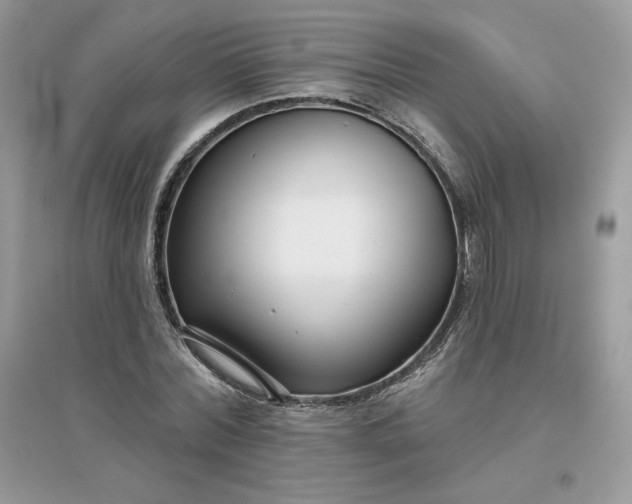 X0000096130780200802011147