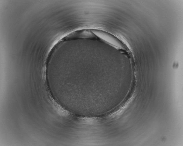 X0000096130781200802011147