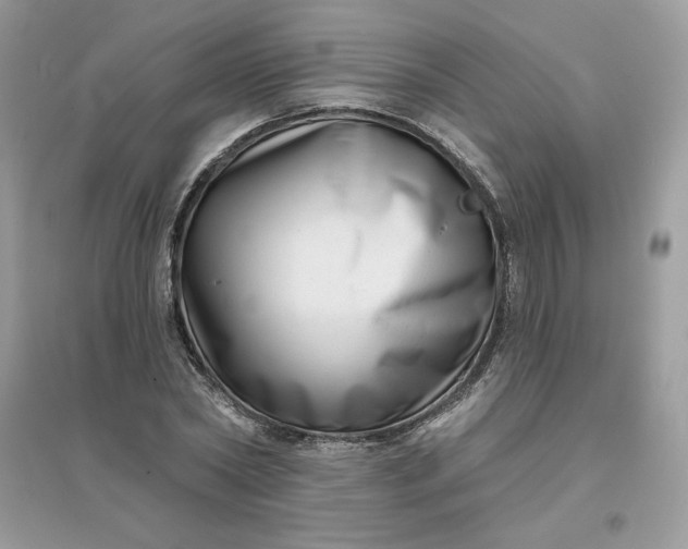 X0000096130782200802011147
