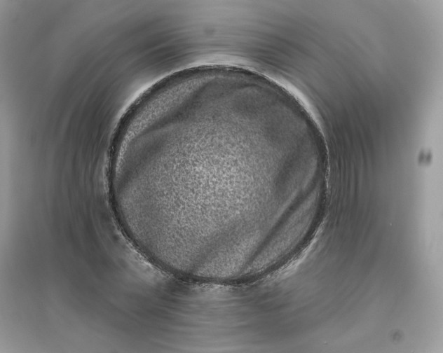 X0000096130783200802011147