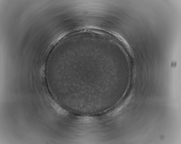 X0000096130785200802011147