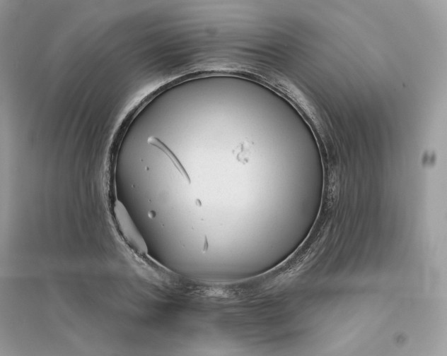 X0000096130787200802011147