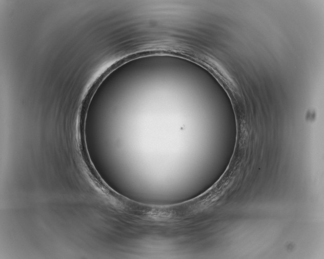 X0000096130788200802011147