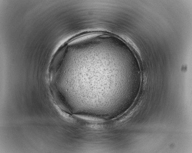 X0000096130789200802011147